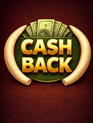 Cash Back